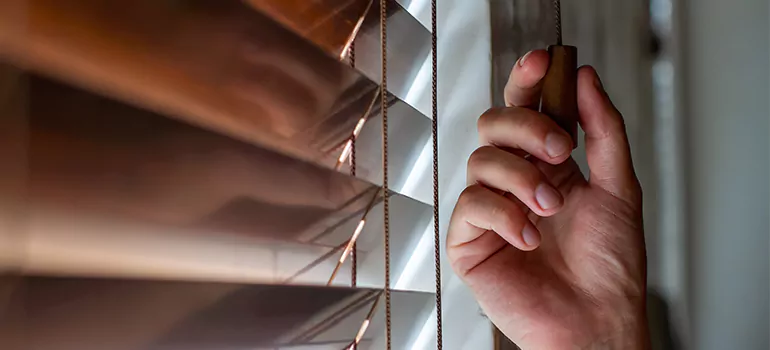 Double Roller Blinds in Crestview, FL