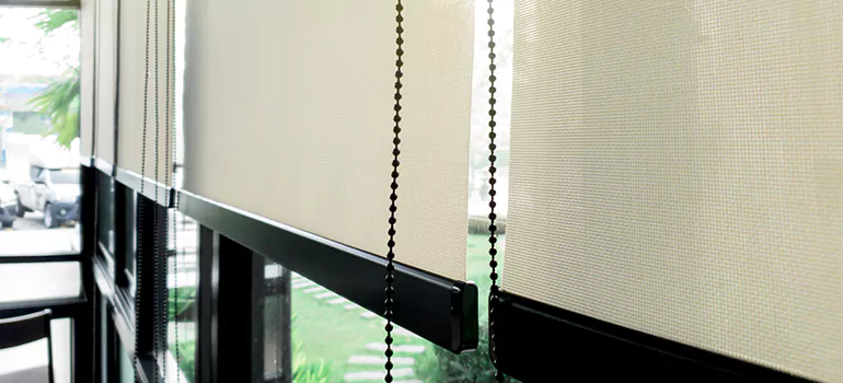 Blackout Window Shades in Crestview, FL