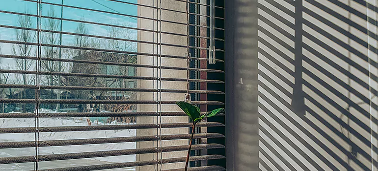 Commercial Window Blinds in Crestview, FL