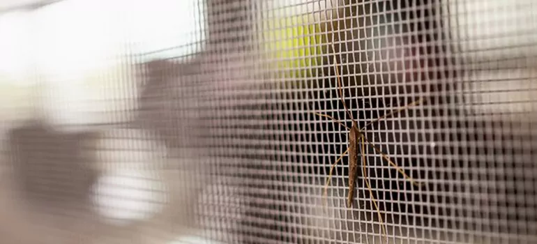 Repair Mosquito Mesh For Windows in Crestview, FL
