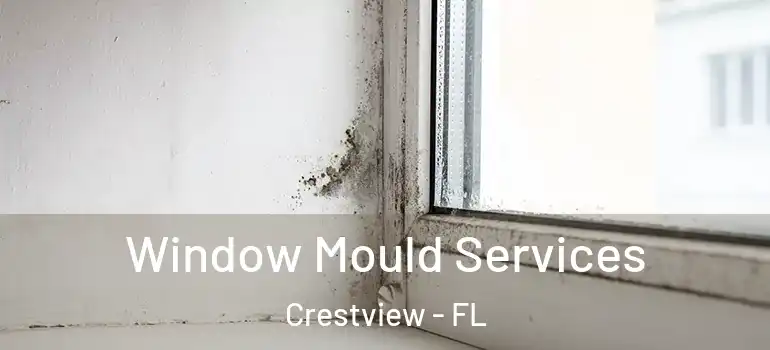 Window Mould Services Crestview - FL